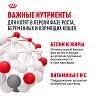 Royal Canin Mother&Babycat Корм сухой для котят в период первой фазы роста и отъема, беременных и кормящих кошек, 0,4 кг